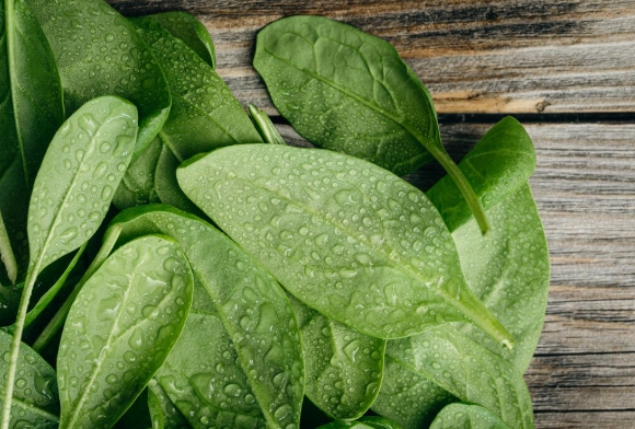 هل السبانخ مفيدة للجسم؟ أفضل طريقة لتناولها وأضرارها على المعدة