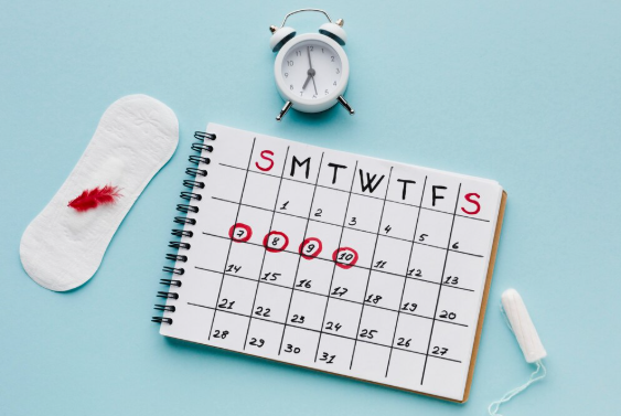 الدورة الشهرية: دليلك الشامل لفهم أسبابها وأعراضها وكيفية حسابها بدقة